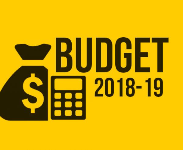 Budget-2018-19-3