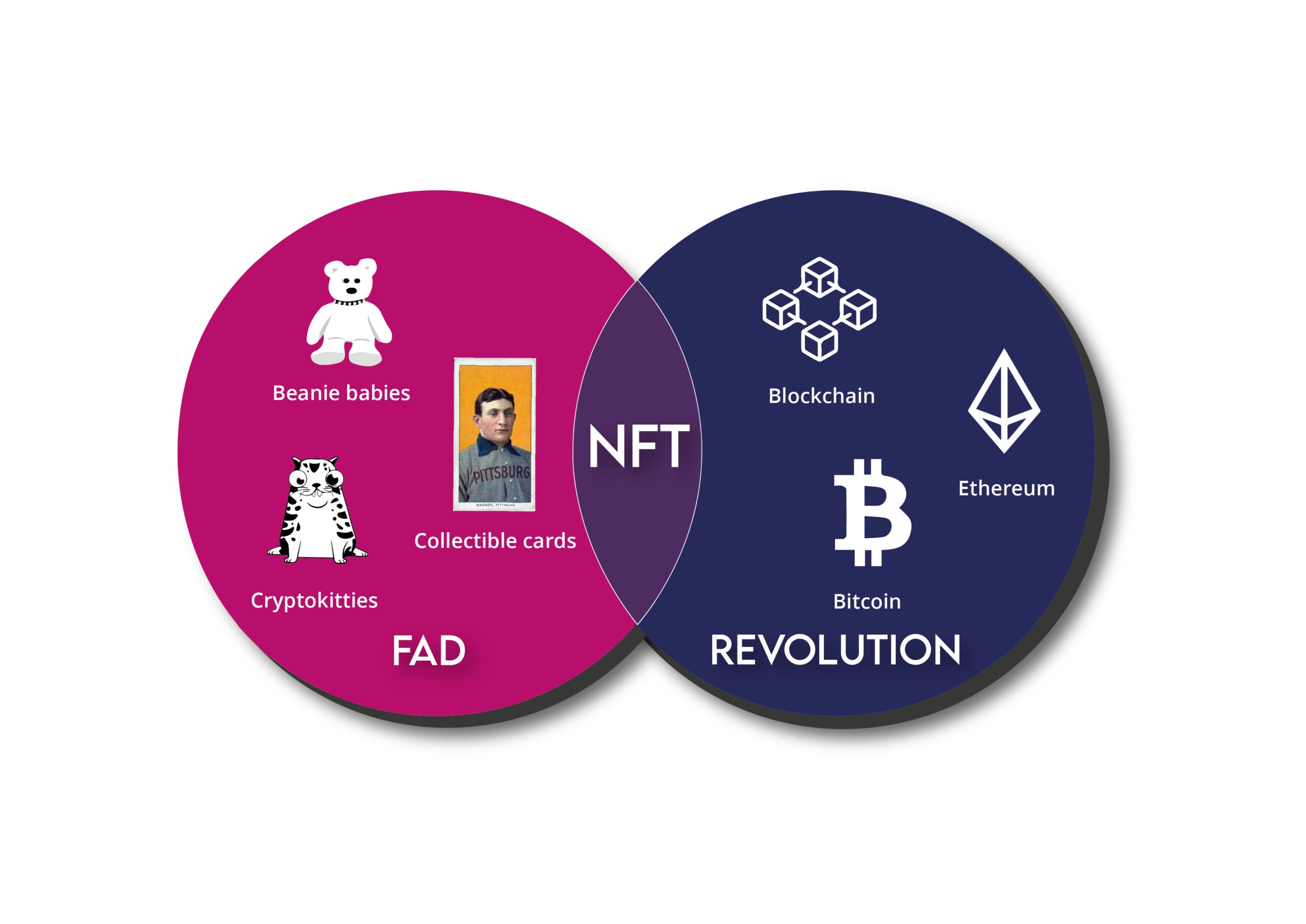 NFTs : Fad or future? We say both