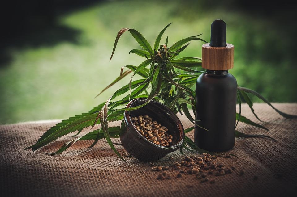 The regulatory highs and lows of launching medicinal hemp products